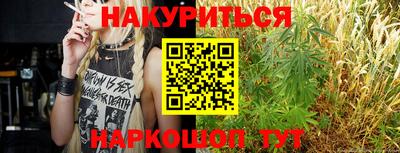 крисы Беслан