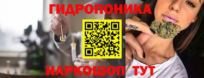 молекула духа Бийск