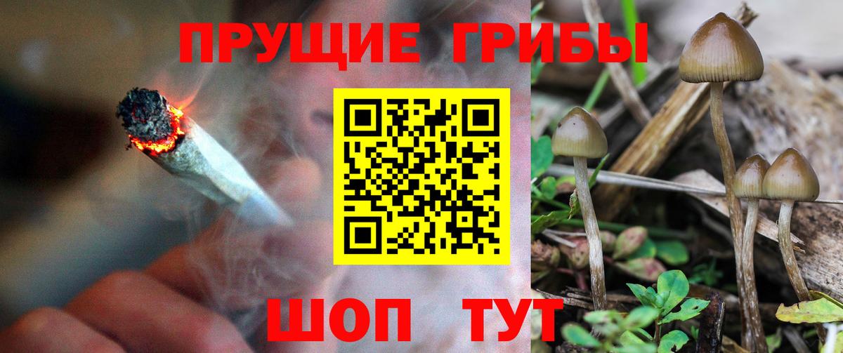 Галлюциногенные грибы мицелий Зерноград